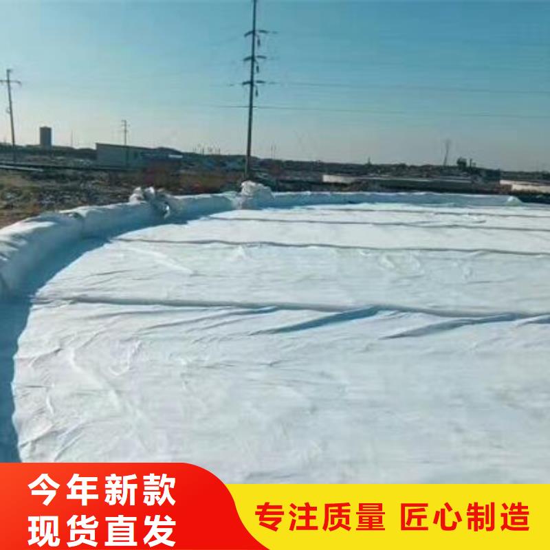 土工布圖片專業(yè)生產(chǎn)廠家
