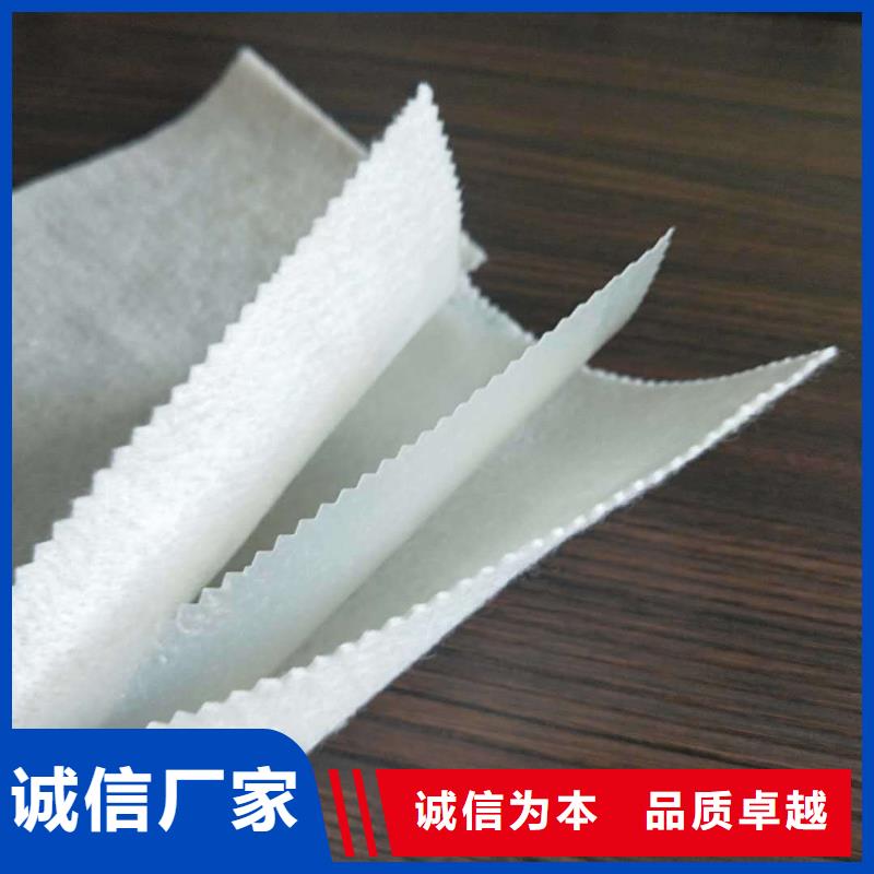 單向透水土工布廠家實(shí)力雄厚