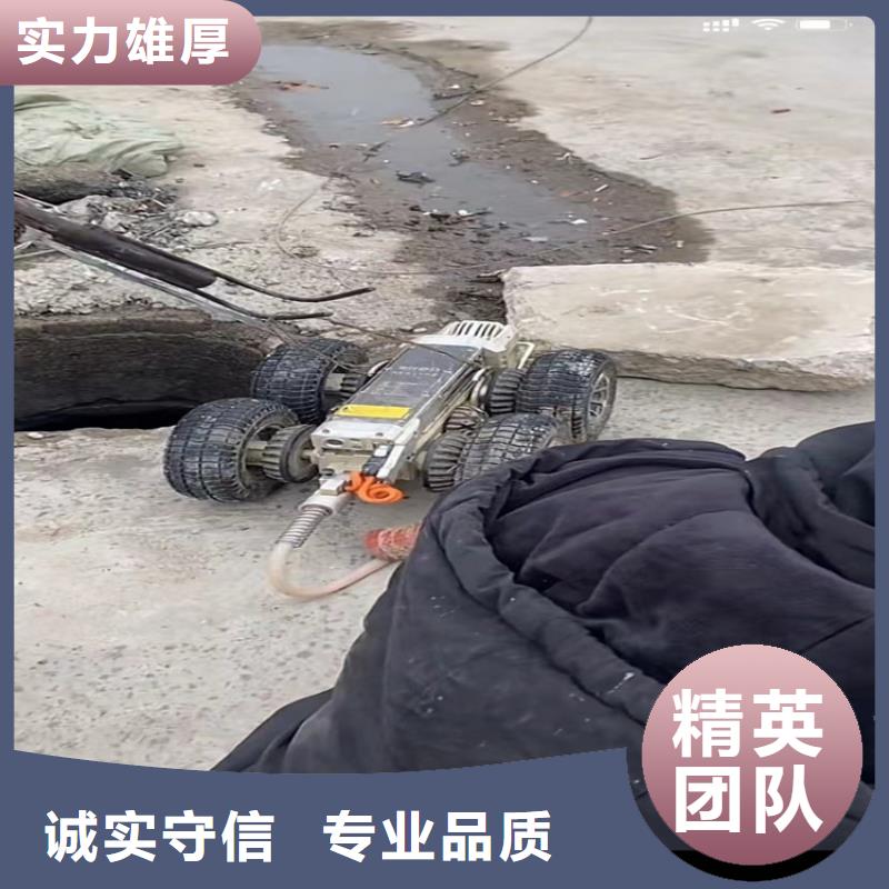 水下工程-水下機(jī)器人知名公司