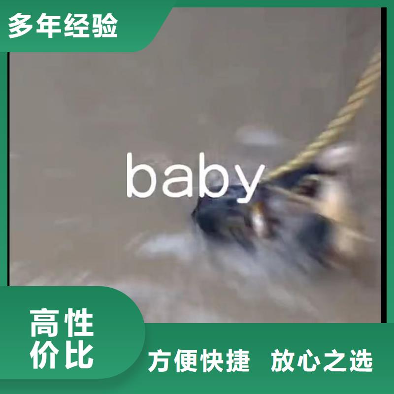 水下安裝潛水打撈團(tuán)隊(duì)全市24小時(shí)服務(wù)
