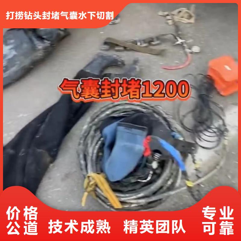水下安装水下探测仪有实力