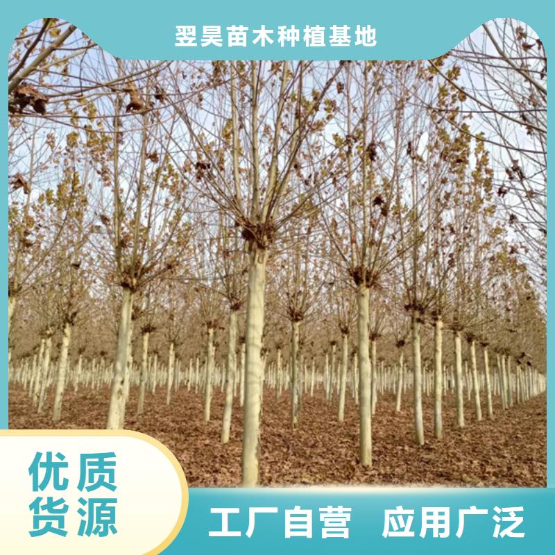  法桐多年行業(yè)經驗