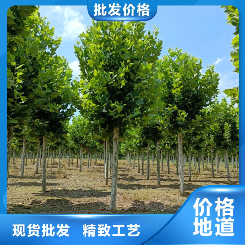  法桐多年行業(yè)經驗
