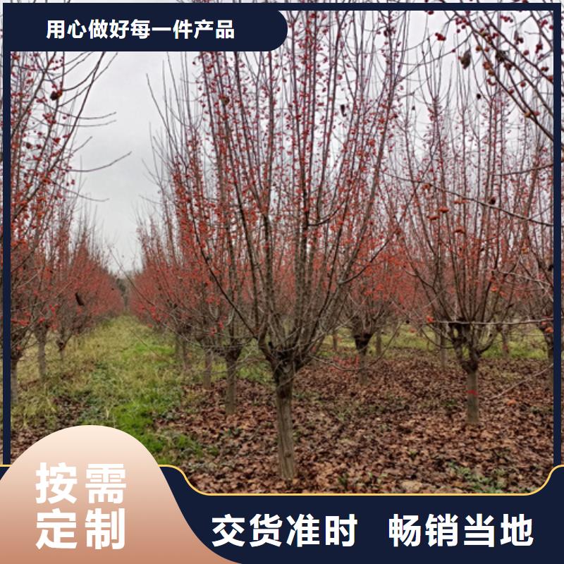 法桐擁有核心技術(shù)優(yōu)勢