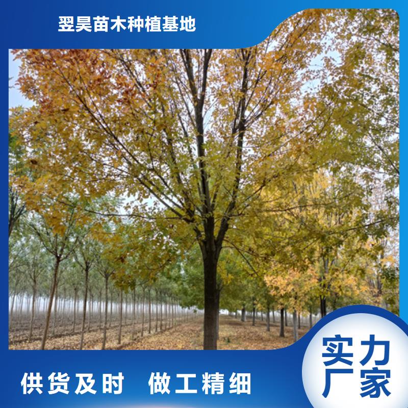 法桐品質(zhì)保證