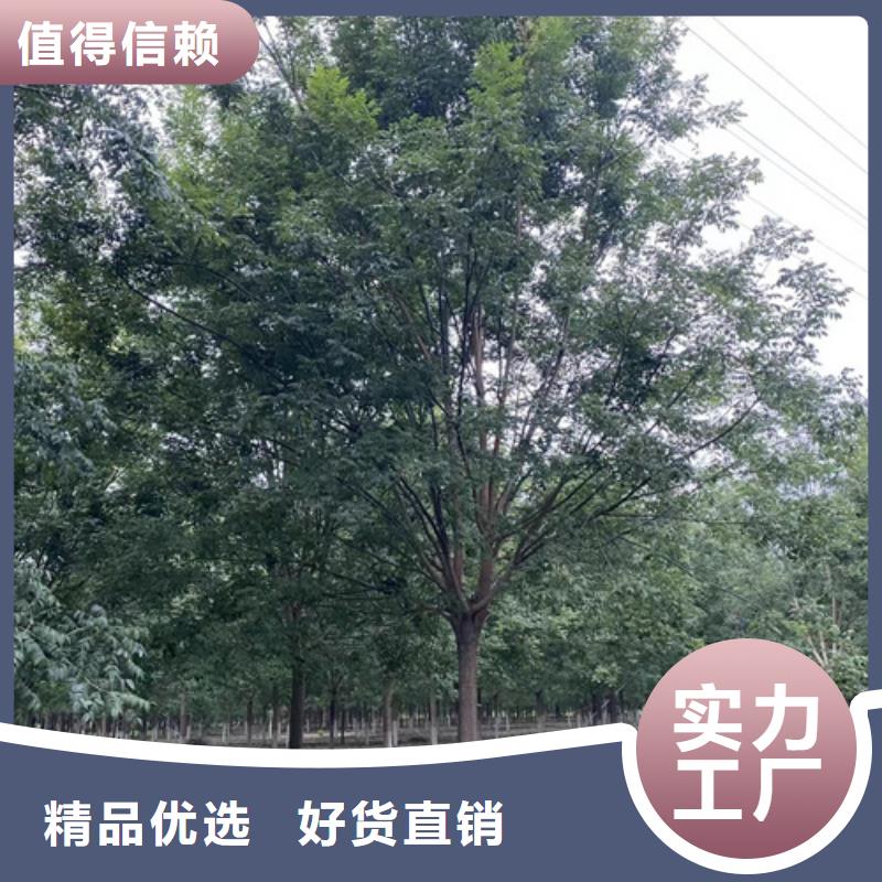 法桐擁有核心技術(shù)優(yōu)勢(shì)