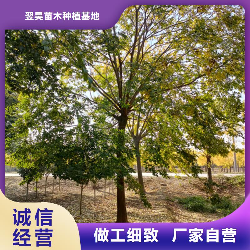法桐擁有核心技術(shù)優(yōu)勢