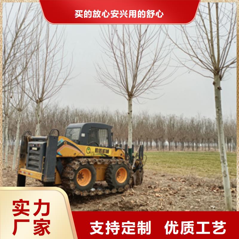 法桐美國紅楓N年生產(chǎn)經(jīng)驗