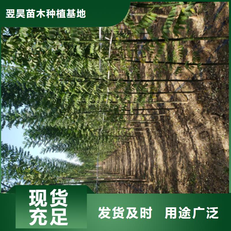 法桐白蠟廠家直銷放心