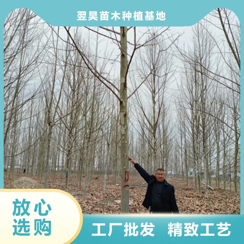 法桐信譽至上