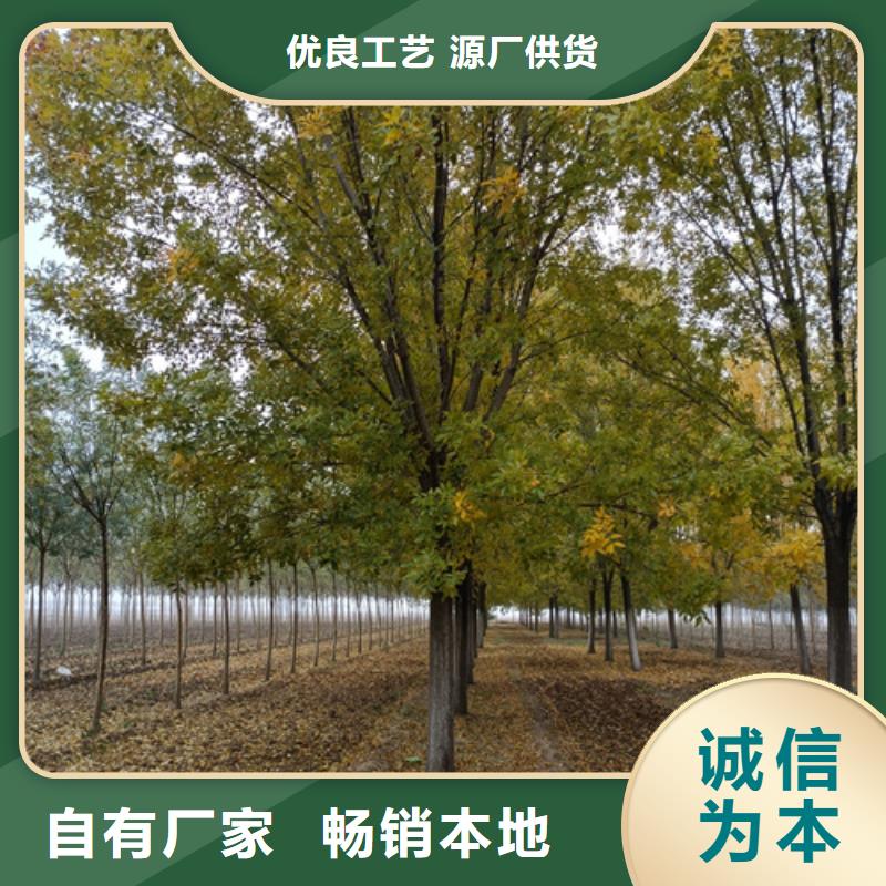 法桐為您提供一站式采購(gòu)服務(wù)