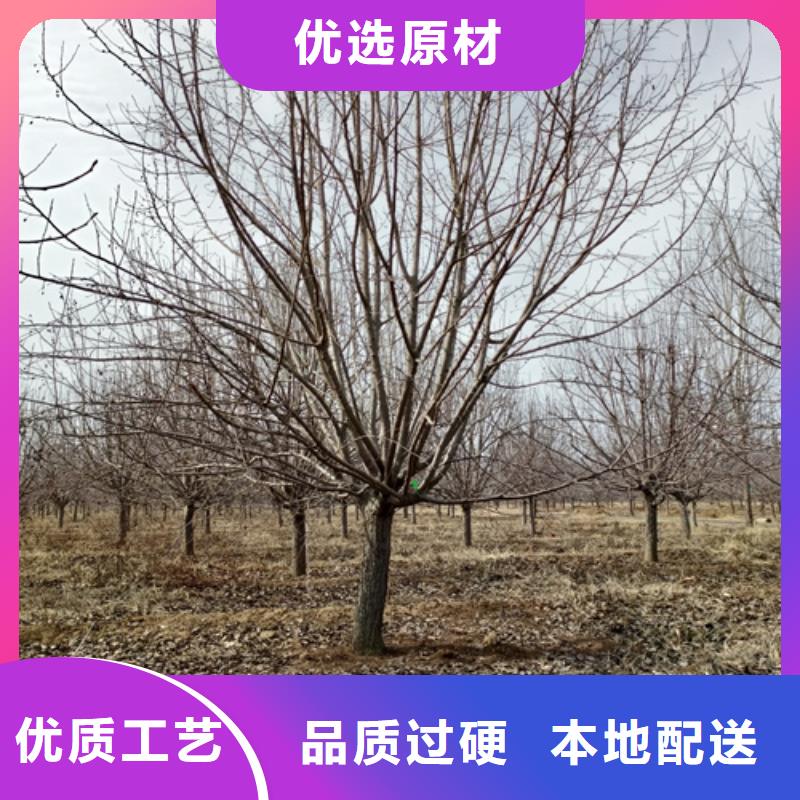 法桐擁有核心技術(shù)優(yōu)勢(shì)