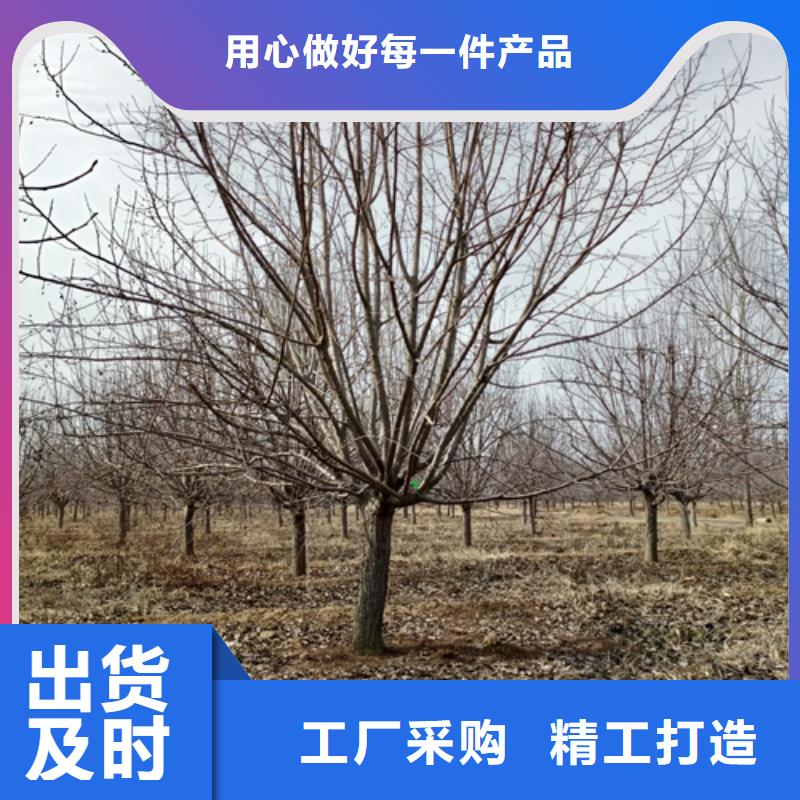 法桐擁有核心技術(shù)優(yōu)勢