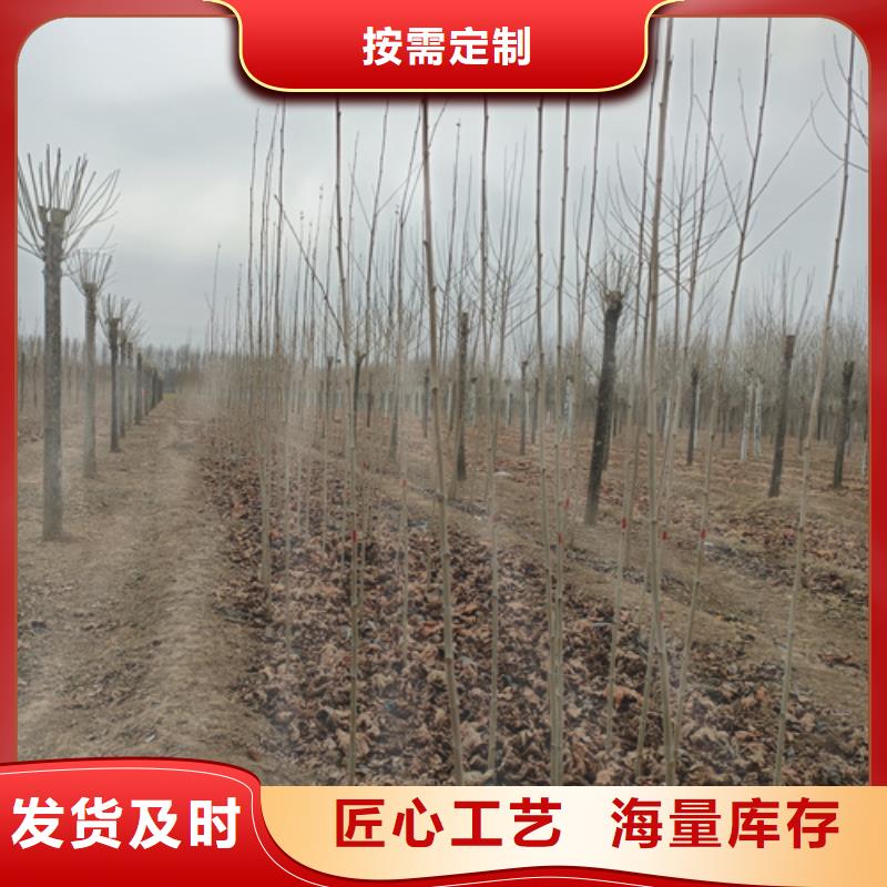 法桐擁有核心技術(shù)優(yōu)勢