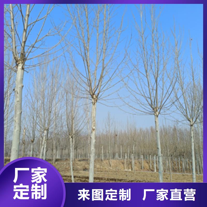 法桐擁有核心技術(shù)優(yōu)勢(shì)