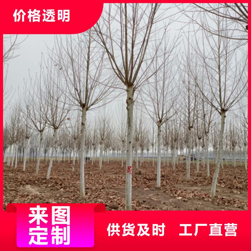 法桐擁有核心技術(shù)優(yōu)勢(shì)