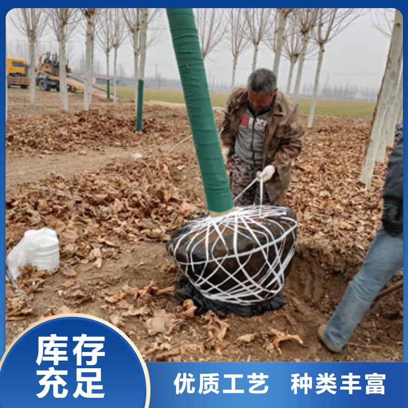法桐擁有核心技術(shù)優(yōu)勢