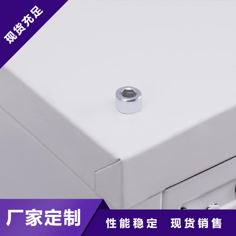 切片柜-办公档案柜厂家