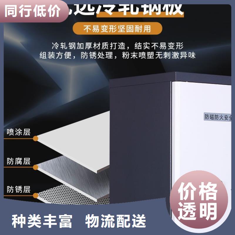 防磁柜資料密集架源頭廠家經(jīng)驗(yàn)豐富