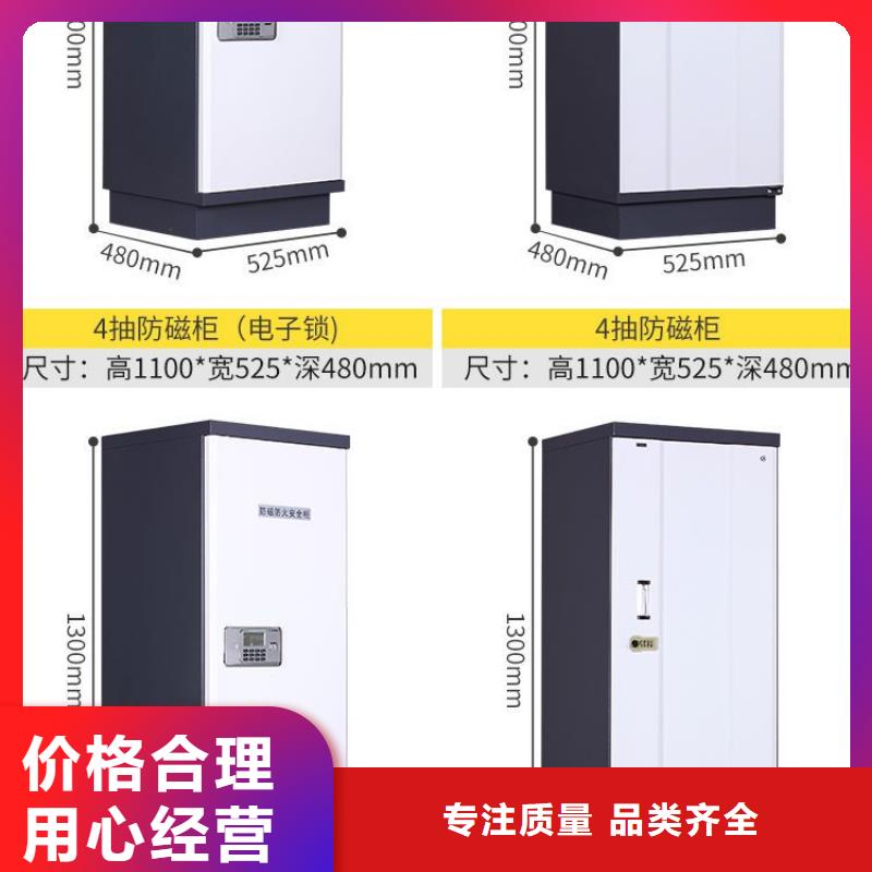 防磁柜資料密集架源頭廠家經(jīng)驗(yàn)豐富