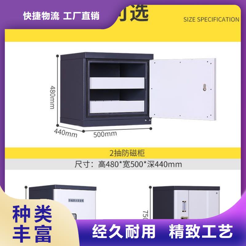 防磁柜資料密集架源頭廠家經(jīng)驗(yàn)豐富