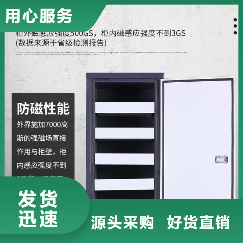 防磁柜資料密集架源頭廠家經(jīng)驗(yàn)豐富