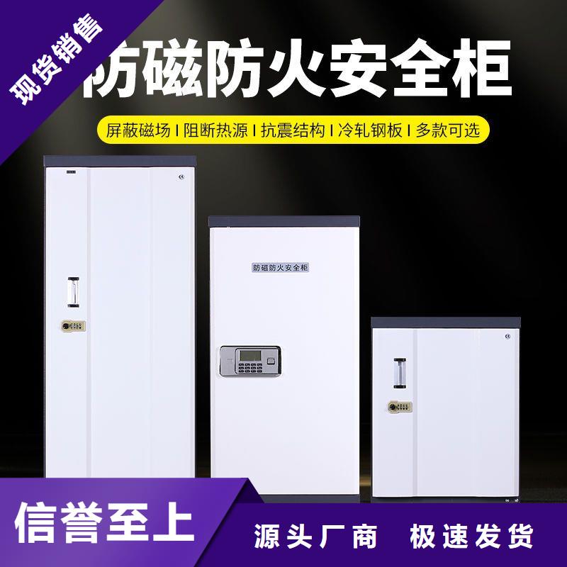 防磁柜資料密集架源頭廠家經(jīng)驗(yàn)豐富
