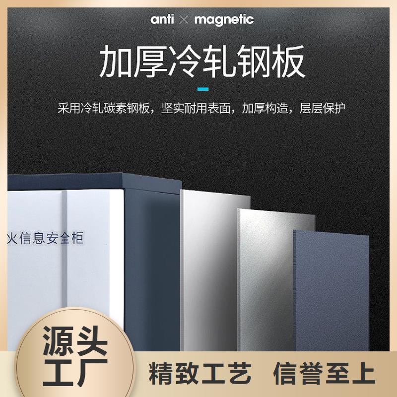 防磁柜資料密集架源頭廠家經(jīng)驗(yàn)豐富