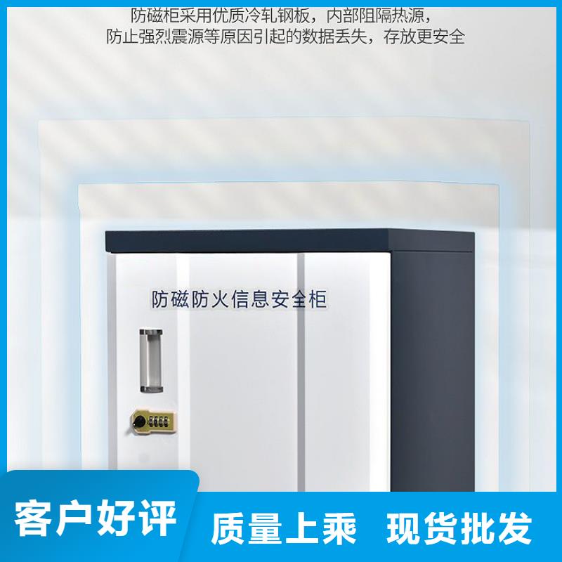 防磁柜資料密集架源頭廠家經(jīng)驗(yàn)豐富