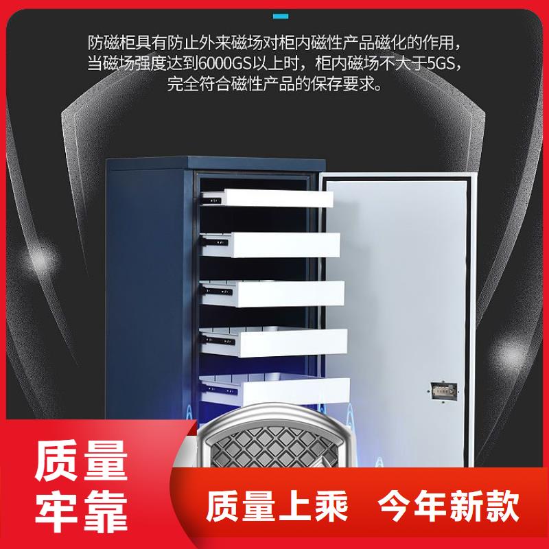 防磁柜資料密集架源頭廠家經(jīng)驗(yàn)豐富