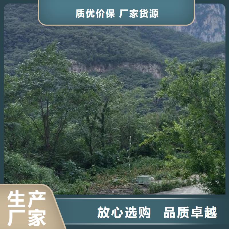 二次構(gòu)造柱泵貨真價實