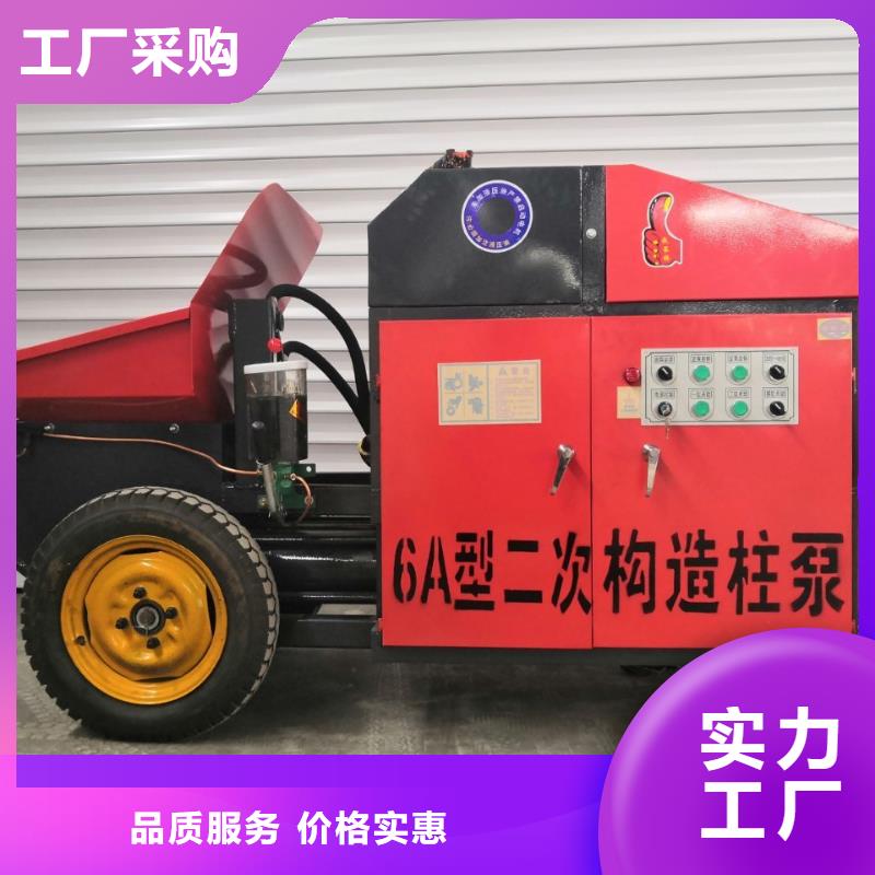 二次構(gòu)造柱泵貨真價實