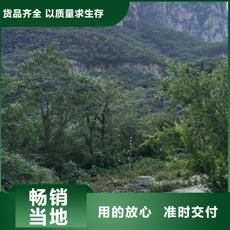 小型混凝土泵二次構造泵優(yōu)選原材