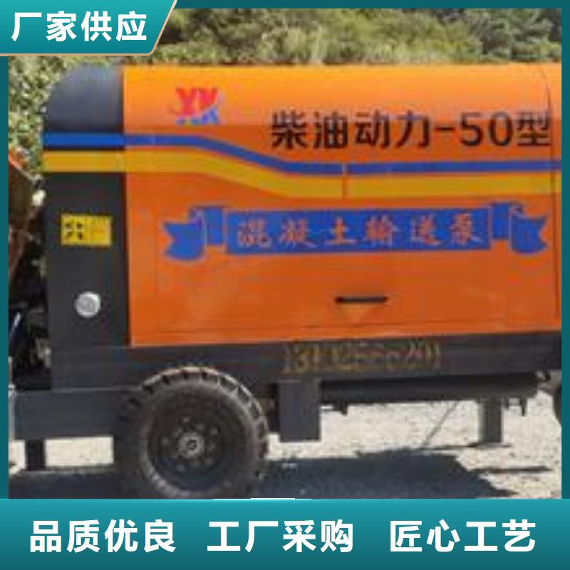 小型混凝土泵混凝土澆筑泵讓客戶買的放心