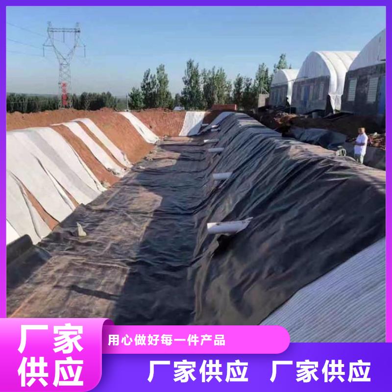 土工膜涤纶格栅现货直发