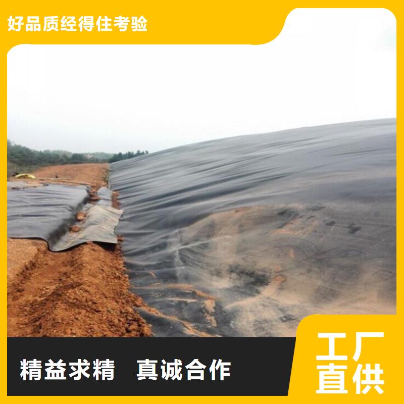 两布一膜复合土工膜-HDPE防渗膜质优价廉