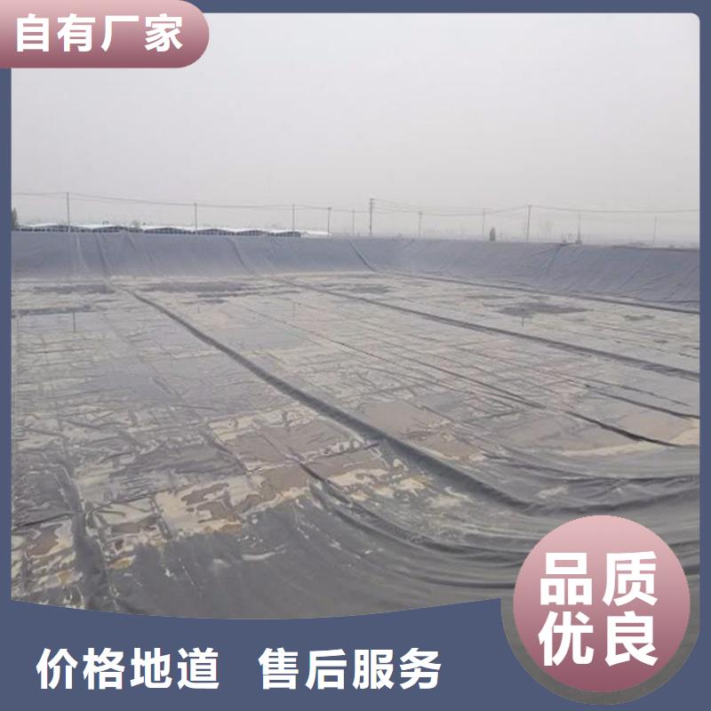 土工膜-鋼塑格柵卓越品質(zhì)保障