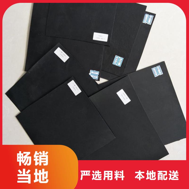 土工膜-鋼塑格柵卓越品質(zhì)保障