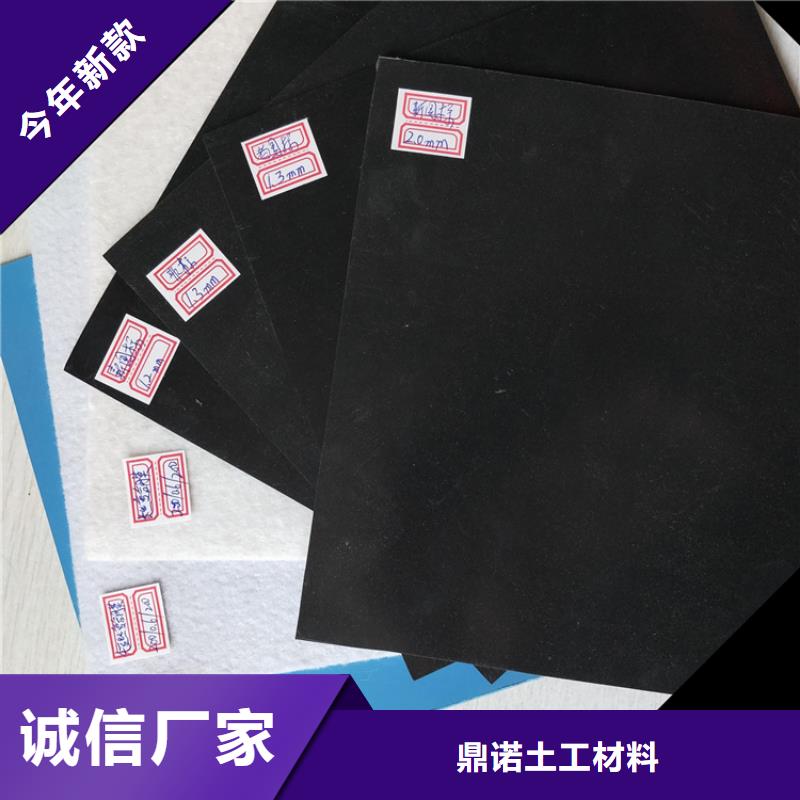 土工膜涤纶格栅现货直发