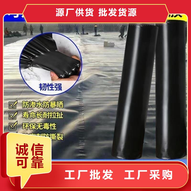 土工膜_通风降噪丝网专注细节更放心