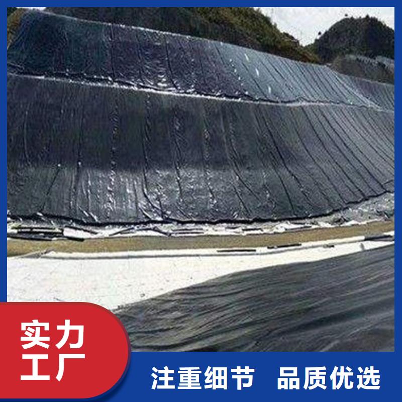 土工膜涤纶格栅现货直发