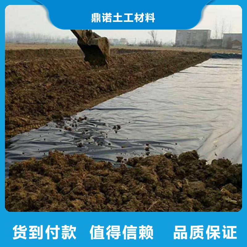 土工膜涤纶格栅现货直发