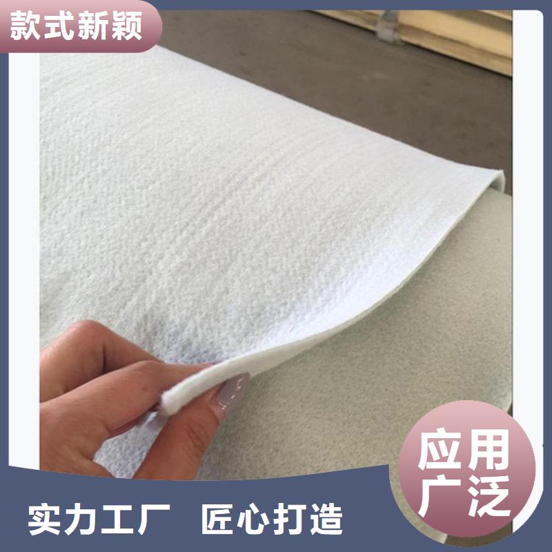 土工布_塑料盲溝實力優(yōu)品