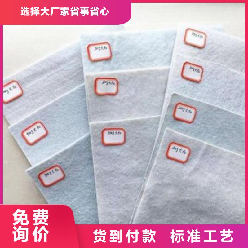 土工布-HDPE土工膜产地厂家直销
