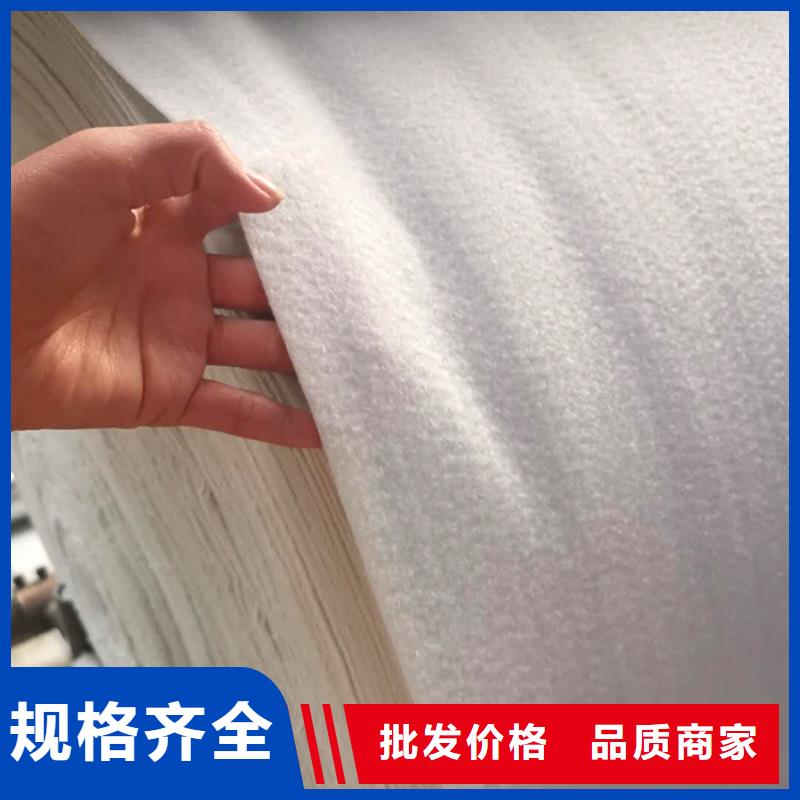 土工布聚丙烯长丝土工布优质货源