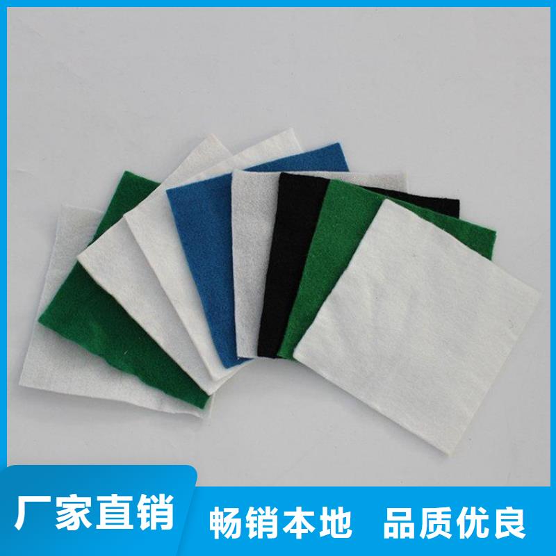 土工布-HDPE土工膜產(chǎn)地廠家直銷