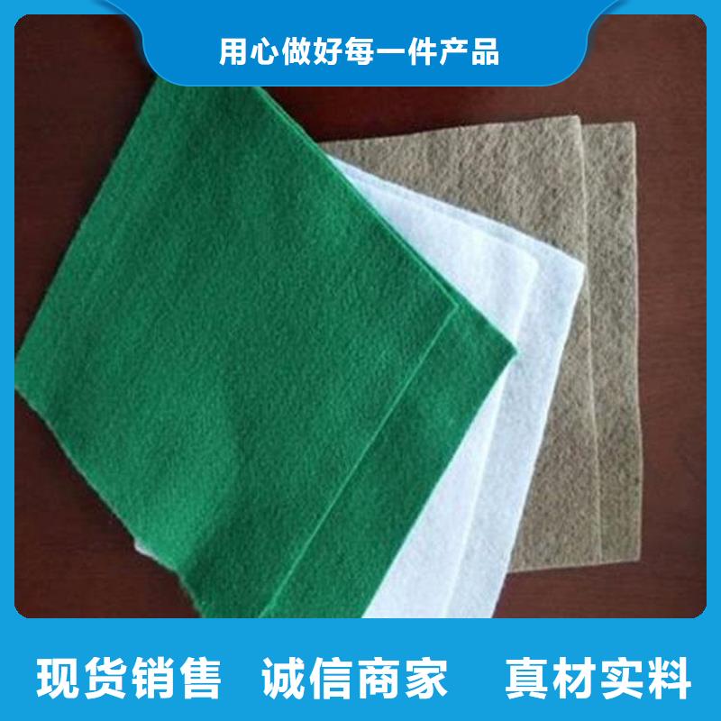 土工布-HDPE土工膜產(chǎn)地廠家直銷
