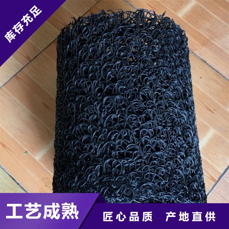 塑料盲溝玻璃纖維土工格柵現(xiàn)貨銷售