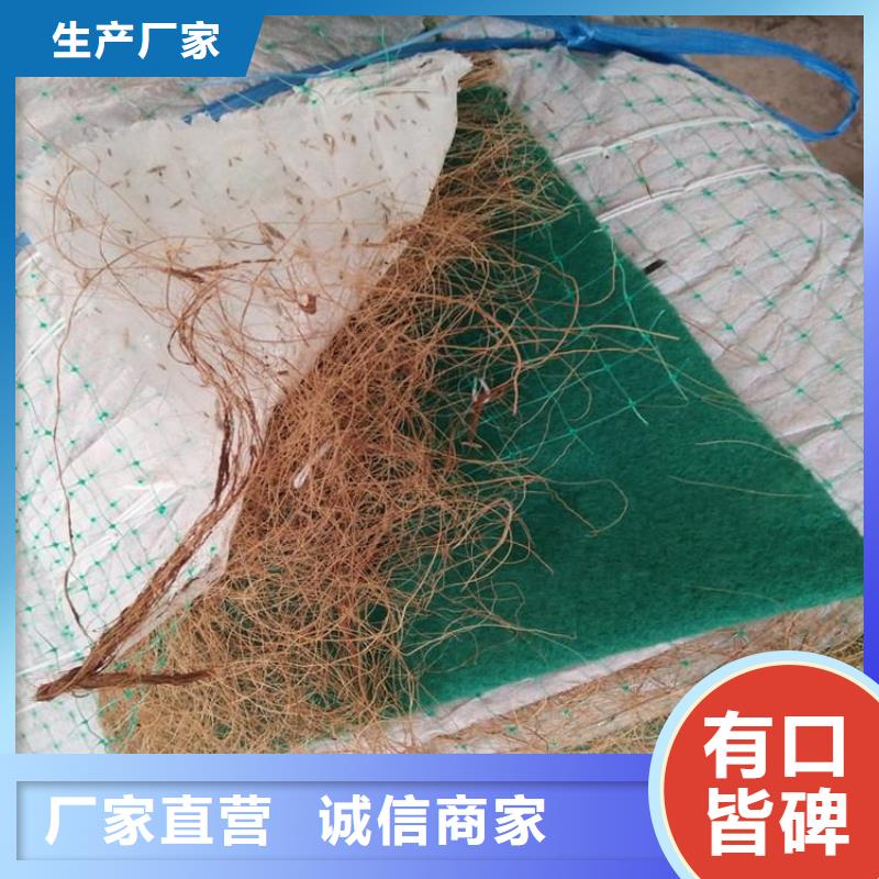 椰纤植生毯护坡植被植草毯