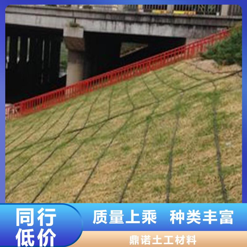 椰絲毯_土工格柵品質(zhì)無所畏懼